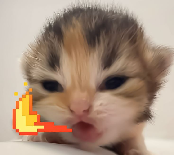 Akito's Avatar